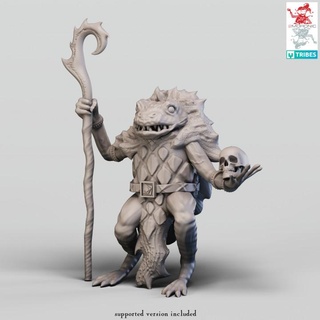 boggard priest-king 2moronic miniatures Tabletop Characters & Creatures Fantasy Universe board dragons dungeons fantasy game king mini rpg miniature priest tabletop d&d dnd frogs pathfinder 5e pre-supported 2e 3d print model - Mito3D