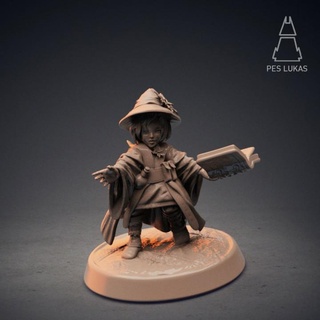 gnome wizard pes lukas Tabletop Characters & Creatures Fantasy Universe female girl hero woman magic witch dwarf elemental warlock sorcerer 3d print model - Mito3D