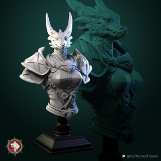 Arşa büst pre supported beyaz kurt adam meyhane masaüstü karakterler yaratıklar fantezi Evren hayran Sanat büstler kadın Dragonborn büstü 3d print model - Mito3D