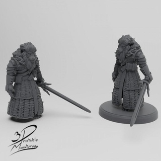 leonin bloodhunter miniatures Tabletop Characters & Creatures Fantasy Universe dragons dungeons mini rpg sword warrior miniature witcher d&d pathfinder trpg 3d print model - Mito3D