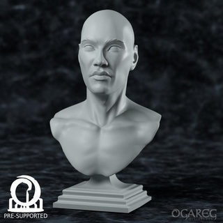 academic human bust presupported ogareg miniatures Tabletop Characters & Creatures Fantasy Universe Fan Art Busts anatomy display man painting roleplaying bald 3d print model - Mito3D