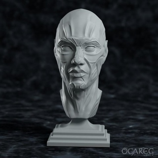 ascended king ogareg miniatures Tabletop Characters & Creatures Fantasy Universe Fan Art Busts stl alien head dnd bits 3d print model - Mito3D