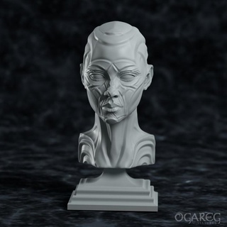 ascended queen ogareg miniatures Tabletop Characters & Creatures Fantasy Universe Fan Art Busts stl head roleplay dnd bits 3d print model - Mito3D