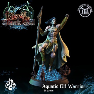 aquatic elf warrior crippled god foundry Tabletop Characters & Creatures Fantasy Universe fantasy fighter rpg sea spear wargames tabletop patreon dnd pathfinder cgf riseofthesharkgod 3d print model - Mito3D