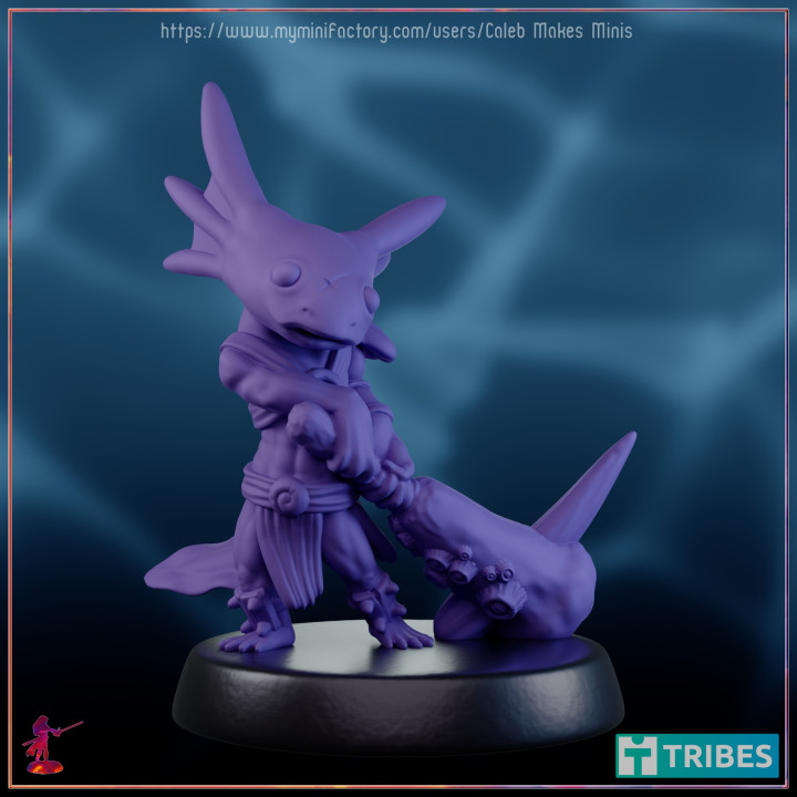 golpe bárbaro pre supported ajolote serie caleb minis mesa caracteres criaturas fantasía universo lindo dragones mazmorras lagartija juego rol rpg tribal club calabozos Dragones rana dnd pionero lengüeta ttrpg 5e salamandra bonk ajolotes 3D print model - Mito3D