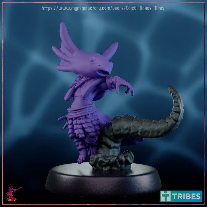 canto stregone pre supported axolotl serie caleb fa minis tavolo personaggi creature fantasia universo carina draghi dungeon lucertola gioco ruolo rpg cthulu Dungeons and Dragons tentacolo dnd esploratore abolisce ttrpg 5e salamandra arcano aberrante 3D print model - Mito3D