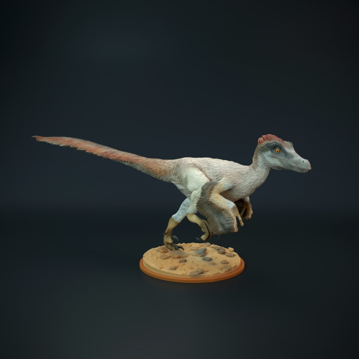 velociraptor mongolianensis corrida dinossauro cão brinquedos jogos animal criatura figuras tampo mesa personagens criaturas figura jurássico mini réptil estátua miniatura pré histórico raptor penas dnd carnívoro cretáceo paleoarte 3D print model - Mito3D