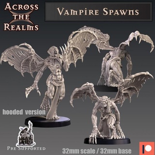 vampire frayer 39 côté royaumes table personnages créatures fantaisie univers jeu horreur rpg Mort vivant ailes dnd éclaireur 5e 3d print model - Mito3D