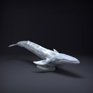 Blau Wal Tier Miniaturen Spielzeuge Spiele Kreatur Zahlen Kunst Zahl Figur Fisch Ozean realistisch Skulptur Meer Begleiter Tierwelt Marine 3d print model - Mito3D