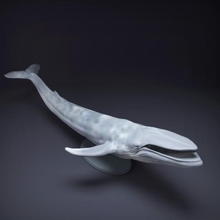 Blau whale mouth öffnen Tier Miniaturen Spielzeuge Spiele Kreatur Zahlen Kunst Zahl Figur Ozean realistisch Skulptur Meer Wal Begleiter Marine wildlfie 3d print model - Mito3D