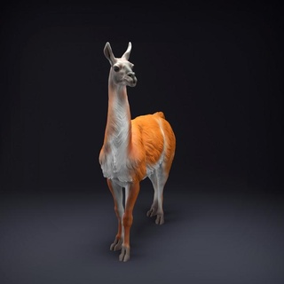 guanaco animal guarida miniaturas juguetes juegos criatura cifras Arte figura figurilla realista escultura compañero fauna silvestre alpaca llama 3d print model - Mito3D