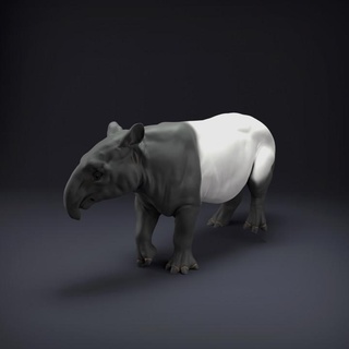malais tapir animal tanière miniatures jouets Jeux créature figures art figure figurine réaliste sculpture compagnon faune 3d print model - Mito3D