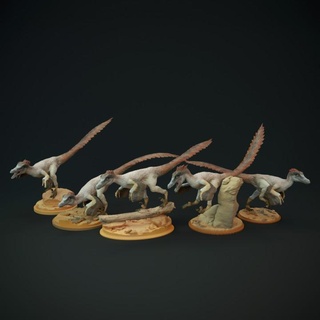 velociraptor pack - dinosaur raptor dino dog Toys & Games Animal Creature Figures Tabletop Characters Creatures animal creature figure jurassic mini reptile statue miniature prehistoric feathers dnd carnivore cretaceous feathered paleoart mongolianensis 3d print model - Mito3D