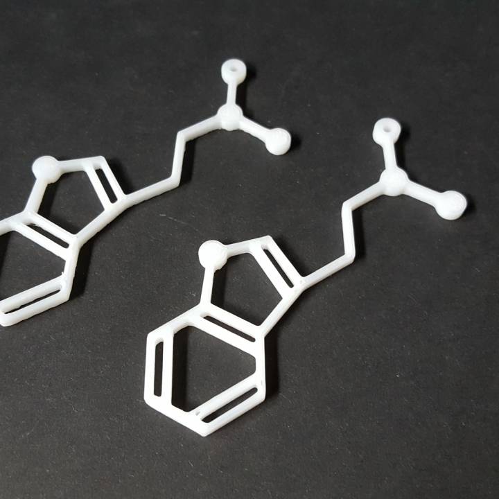 dmt molecola orecchini collana gioielli gli orecchino neclace dimetiltriptamina 3D print model - Mito3D