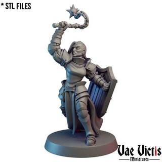 paladin pre-supported vae victis miniatures Tabletop Characters & Creatures Fantasy Universe armor fantasy rpg shield warrior tabletop badass dnd flail cleric 3d print model - Mito3D