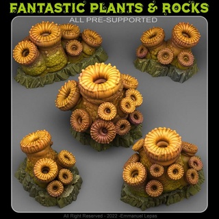 cannon coral fantastic plants rocks Tabletop 3D Printable Terrain Fantasy emmanuel 4k tribe & lepas 8k 3d print model - Mito3D