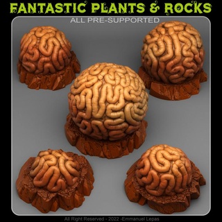 gomacion memory stones fantastic plants rocks Tabletop 3D Printable Terrain Fantasy Sci-Fi terrain emmanuel 4k tribe & lepas 8k 3d print model - Mito3D