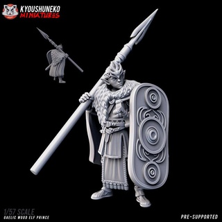 Galce Odun elf prens kyoushuneko minyatürler masaüstü karakterler yaratıklar fantezi Evren kahraman Warhammer Kelt 3d print model - Mito3D
