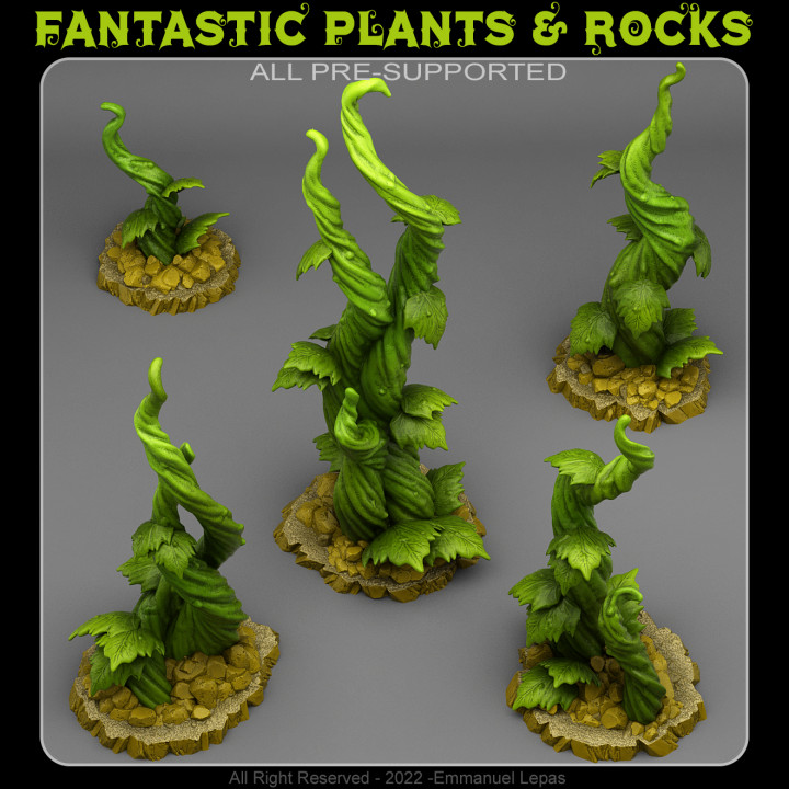 jack's beanstalk 2 fantastic plants rocks Tabletop 3D Printable Terrain Fantasy patreon n emmanuel 4k tribe & lepas 8k 3D print model - Mito3D