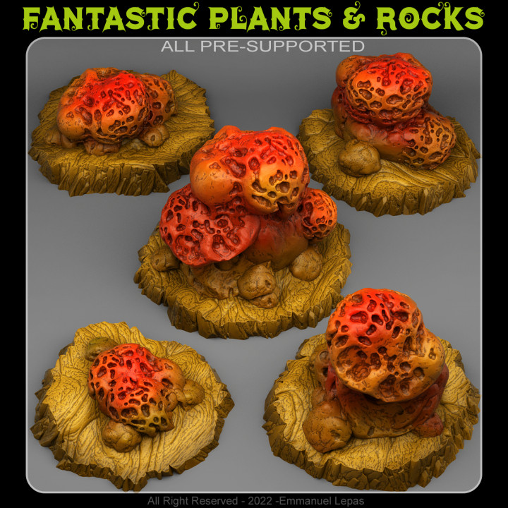 Wurmloch Pilze Fantastisch Pflanzen Felsen Tischplatte 3D druckbar Terrain Fantasie Sci Fi Emmanuel 4k Stamm Loslassen 8k 3D print model - Mito3D