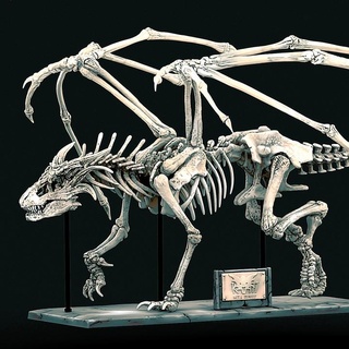 skeleton desk drake ketaminies Tabletop Characters & Creatures Fantasy Universe bones display dragon museum kitbash skeletal dnd wyrm 3d print model - Mito3D