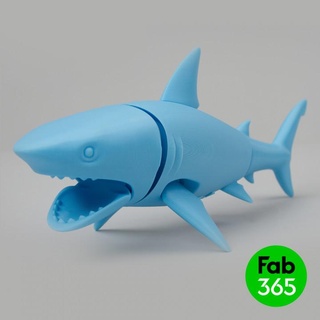 katlanabilir Köpekbalığı sang kwon yapışkan madde oyuncaklar oyunlar hayran Sanat aksiyon rakamlar fab365 3d print model - Mito3D