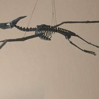 Pteranodon iskelet dua etmek Kiraz oyuncaklar oyunlar hayvan yaratık rakamlar Eğitim Üniversite doğal bilimler biyolojik Dinozor uçan pteradactyl 3d print model - Mito3D