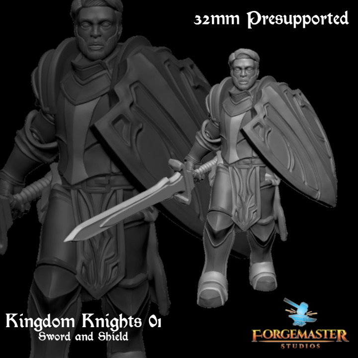 kingdom knights 01 sword shield forgemaster studios Tabletop Characters & Creatures Fantasy Universe knight dnd 32mm swordandshield forgemasterstudios 3D print model - Mito3D