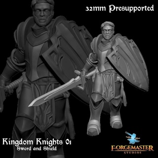 kingdom knights 01 sword shield forgemaster studios Tabletop Characters & Creatures Fantasy Universe knight dnd 32mm swordandshield forgemasterstudios 3d print model - Mito3D
