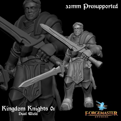 3d printable kingdom knights 01 dual wield by forgemaster studios fighter knight sword warrior paladin dnd 32mm dualwield forgemasterstudios 3d print model - Mito3D