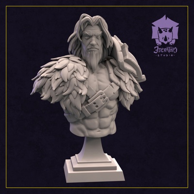 3d printable torkas bust by 3deratopsstudio tabletop characters & creatures fantasy universe fan art busts 3d print model - Mito3D
