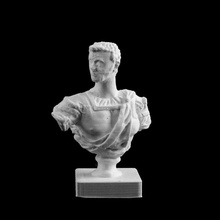 busto cosimo medici san francisco scan escultura eua mármore itália sanfrancisco cosimodemedici 15thcentury 3d print model - Mito3D