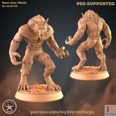 3d printable werewolf nr1 by my3dprintforge tabletop characters & creatures fantasy universe 3d print model - Mito3D