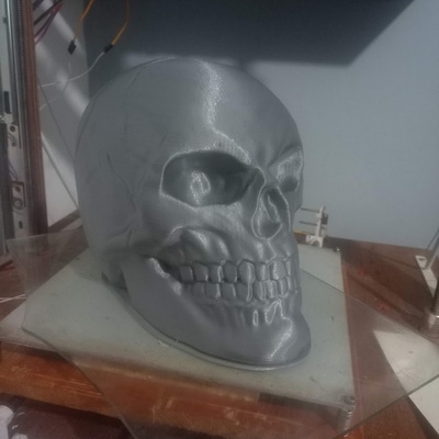 3d printable common skull by renan costa home & garden homeware ornaments 3d print model - Mito3D