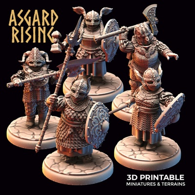 3d printable dwarf female dwarven shield-maidens modular pre-supported by asgard rising miniatures 3d print model - Mito3D