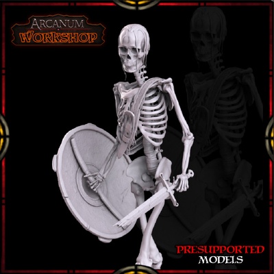 3d printable warrior skeleton by arcanum workshop tabletop characters & creatures fantasy universe 3d print model - Mito3D