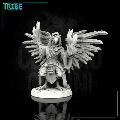 3d printable 0077 male featherfolk birdman wizard flame spell by claudio casini art tabletop characters & creatures fantasy universe 3d print model - Mito3D