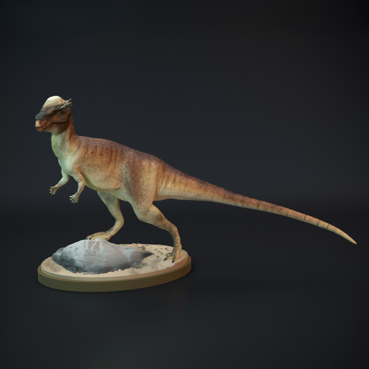 3d yazdırılabilir pachycephalosaurus ayakta dinozor by dino köpek oyuncaklar oyunlar hayvan yaratık rakamlar masaüstü karakterler yaratıklar 3D print model - Mito3D