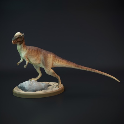 3d imprimible pachycephalosaurus pie dinosaurio by perro juguetes juegos animal criatura cifras mesa caracteres criaturas 3d print model - Mito3D