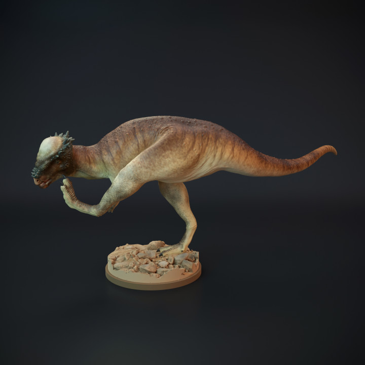 3d imprimible pachycephalosaurus rascarse dinosaurio by perro juguetes juegos animal criatura cifras mesa caracteres criaturas 3D print model - Mito3D