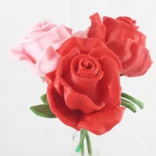 roses education flowers crafts 3d print model - Mito3D