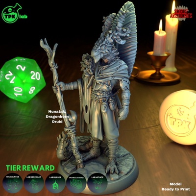 3d imprimable tamponné dragonborn druide by tpk laboratoire 3d print model - Mito3D