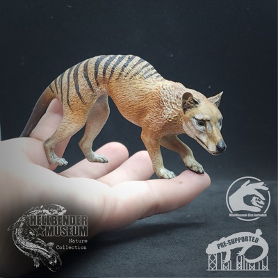 3d printable thylacine tasmanian tiger thylacinus cynocephalus by hellbender museum toys & games animal creature figures 3d print model - Mito3D