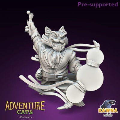 3d stampabile ovunque bardo gatto maschio by kawna minis tavolo personaggi creature fantasia universo 3d print model - Mito3D