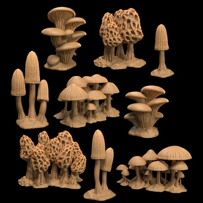 3d stampabile fungo foresta terreno presupposto bayou by drago cacciatori lodge tavolo fantasia wargaming 3d print model - Mito3D