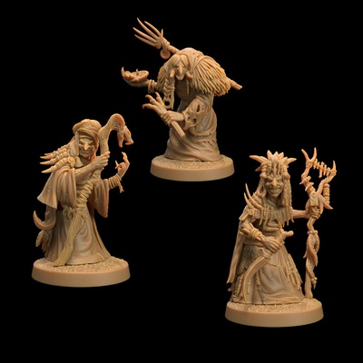 3d stampabile palude streghe presupposto fungo bayou by drago cacciatori lodge tavolo personaggi creature fantasia universo wargaming 3d print model - Mito3D