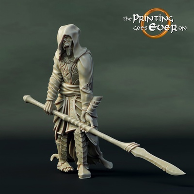 3d stampabile elfo revenant d presupposto by stampa on tavolo personaggi creature fantasia universo wargaming 3d print model - Mito3D