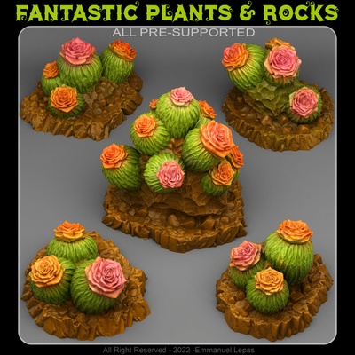 3d druckbar kaktus blumen by fantastisch pflanzen felsen tischplatte terrain fantasie 3d print model - Mito3D