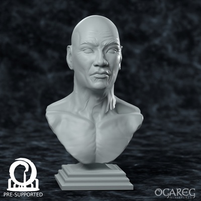 3d imprimible académico humano busto presupuesto by ogro miniaturas mesa accesorios 3d print model - Mito3D