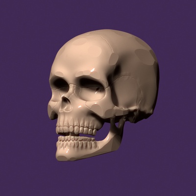 3d printable human skull by viktoriya kabanova toys & games mechanical marvels 3d print model - Mito3D